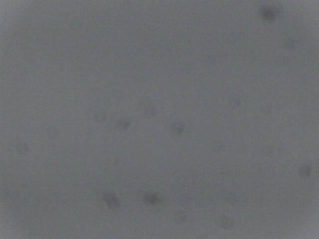 Aufnahmezeit: 18 Sep 2025 02:45:44