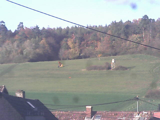 Aufnahmezeit: 30 Oct 2025 16:39:56 Aufnahmezeit: 30 Oct 2025 16:39:56