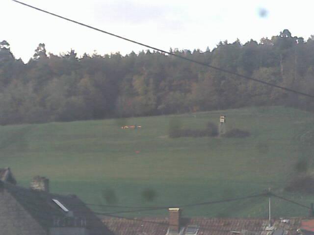 Aufnahmezeit: 30 Oct 2025 16:55:59 Aufnahmezeit: 30 Oct 2025 16:55:59