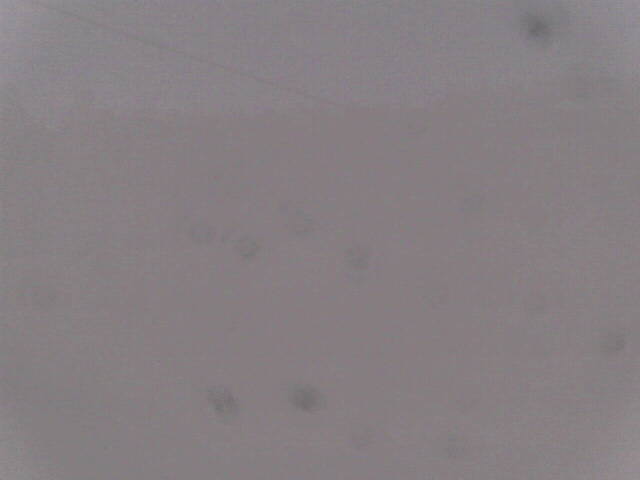 Aufnahmezeit: 30 Oct 2025 18:36:01 Aufnahmezeit: 30 Oct 2025 18:36:01