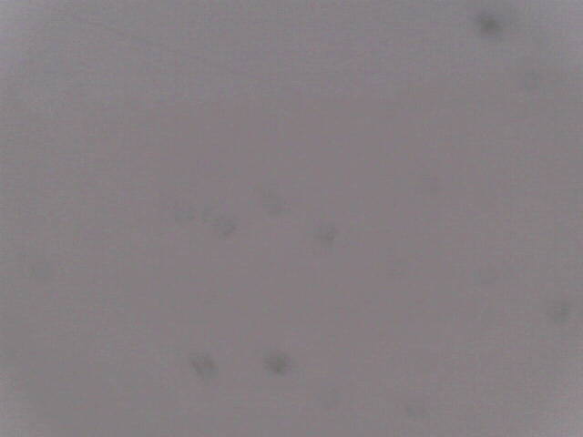 Aufnahmezeit: 30 Oct 2025 18:37:33 Aufnahmezeit: 30 Oct 2025 18:37:33