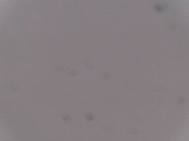 Aufnahmezeit: 30 Oct 2025 18:39:34 Aufnahmezeit: 30 Oct 2025 18:39:34