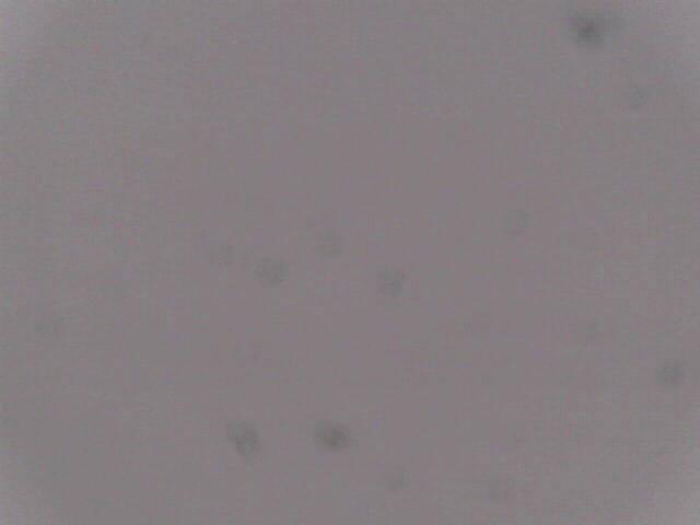 Aufnahmezeit: 30 Oct 2025 18:41:36 Aufnahmezeit: 30 Oct 2025 18:41:36