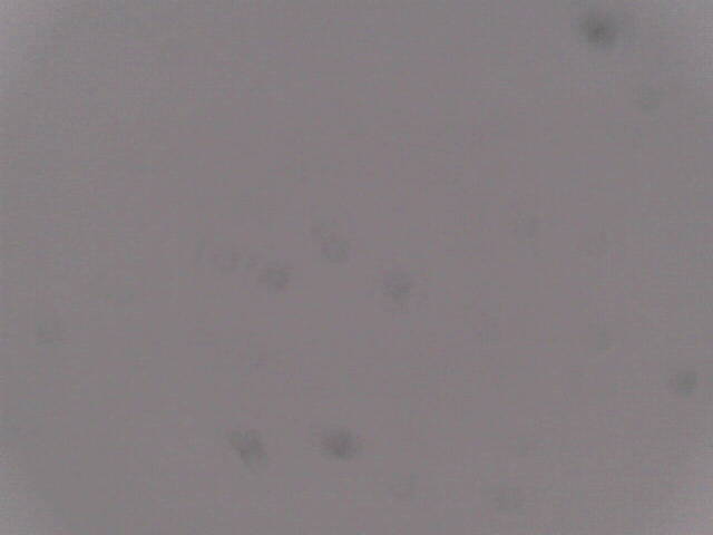 Aufnahmezeit: 30 Oct 2025 18:43:37 Aufnahmezeit: 30 Oct 2025 18:43:37