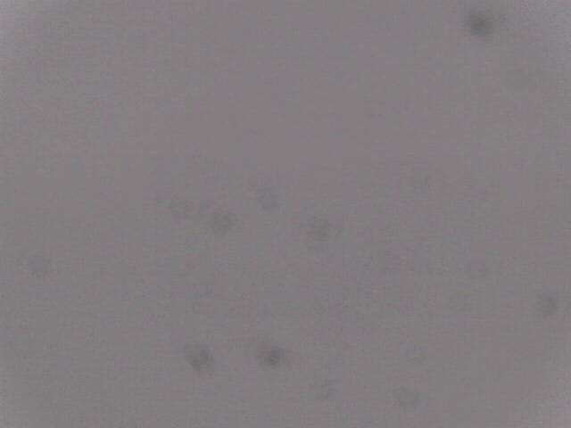 Aufnahmezeit: 30 Oct 2025 18:45:39 Aufnahmezeit: 30 Oct 2025 18:45:39