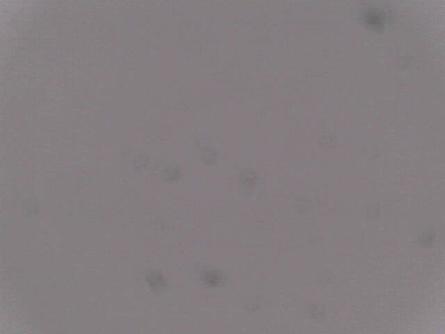 Aufnahmezeit: 30 Oct 2025 18:47:40 Aufnahmezeit: 30 Oct 2025 18:47:40