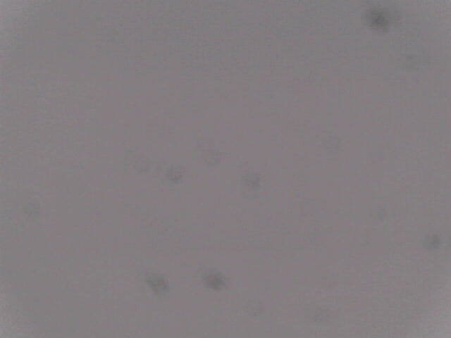 Aufnahmezeit: 30 Oct 2025 18:49:42 Aufnahmezeit: 30 Oct 2025 18:49:42