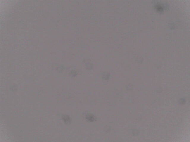 Aufnahmezeit: 30 Oct 2025 18:51:43 Aufnahmezeit: 30 Oct 2025 18:51:43