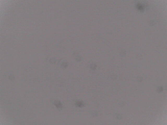 Aufnahmezeit: 30 Oct 2025 18:53:45 Aufnahmezeit: 30 Oct 2025 18:53:45