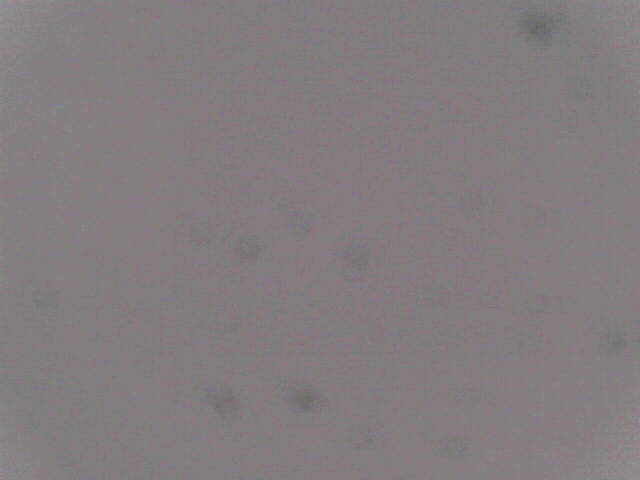 Aufnahmezeit: 30 Oct 2025 18:55:47 Aufnahmezeit: 30 Oct 2025 18:55:47