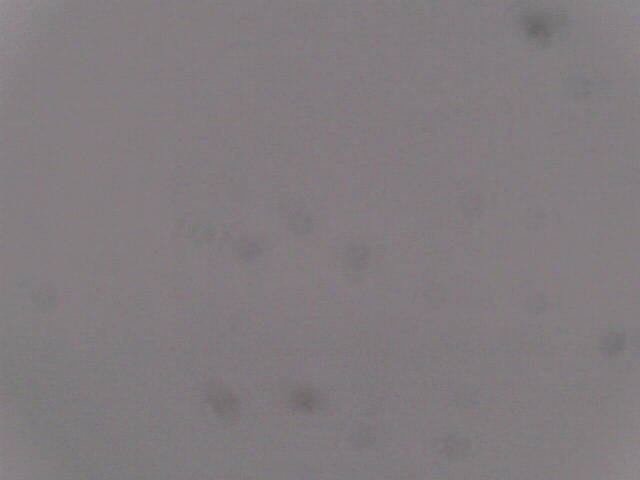 Aufnahmezeit: 30 Oct 2025 18:57:48 Aufnahmezeit: 30 Oct 2025 18:57:48