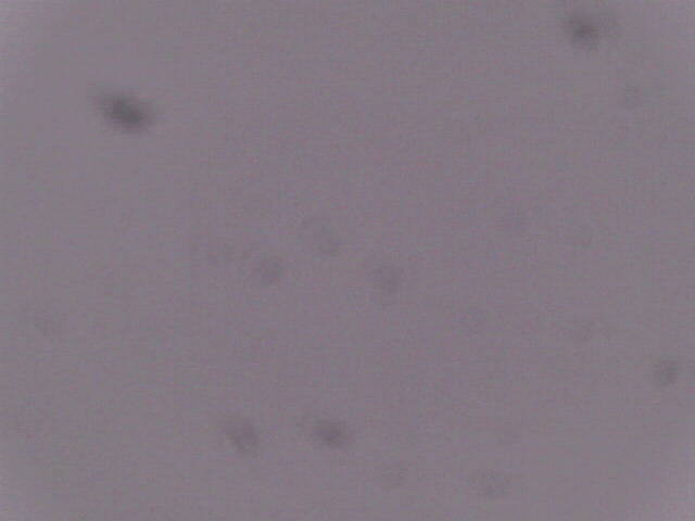 Aufnahmezeit: 06 Nov 2025 22:18:44